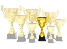 1023 E - Premium Cup
